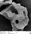 Makro- a nanoporézní struktura regenerativního materiálu OssaBase-HA 